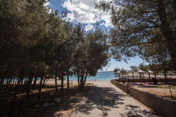 Apartman Franc S Vir Exterior foto